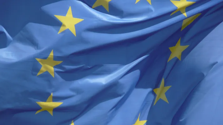 European Union flag