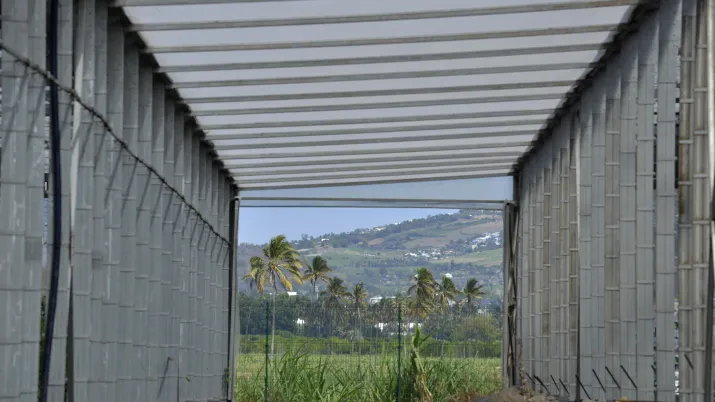 Akuo Energy, énergie renouvelable, La Réunion
