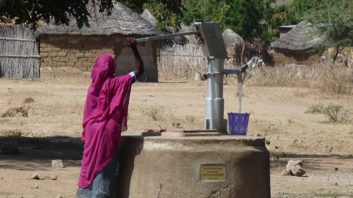 Améliorer l'accès à l'eau potable, Cameroun