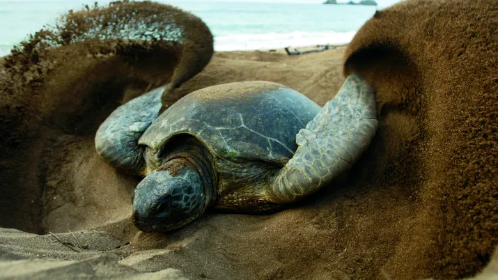 Protéger la biodiversité et les ressources du Parc national de Mohéli - Image -