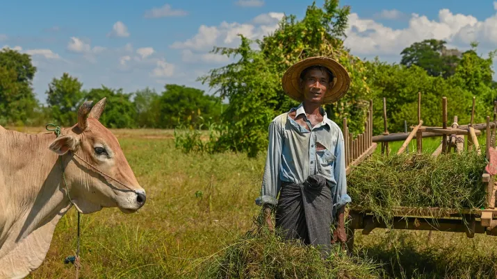 santé animal humain environnement élevage Asie Afrique One Health AFD