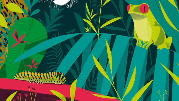 nature biodiversité environnement forêt tropicale