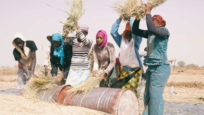 APCC Appui aux femmes de Diffa : autonomisation des femmes, zones de crise et conflits