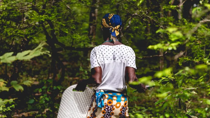 population forêts Afrique femme travail