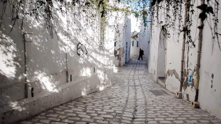 Tunisie © Amine Landoulsi / AFD