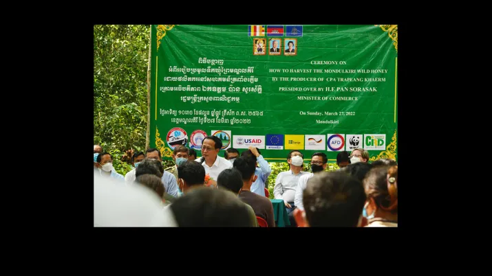 cambodge-miel-mandolkori