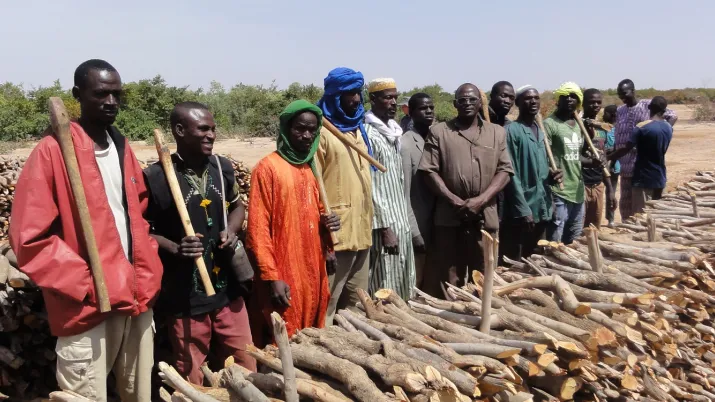 bucherons marché rural bois énergie Sahel