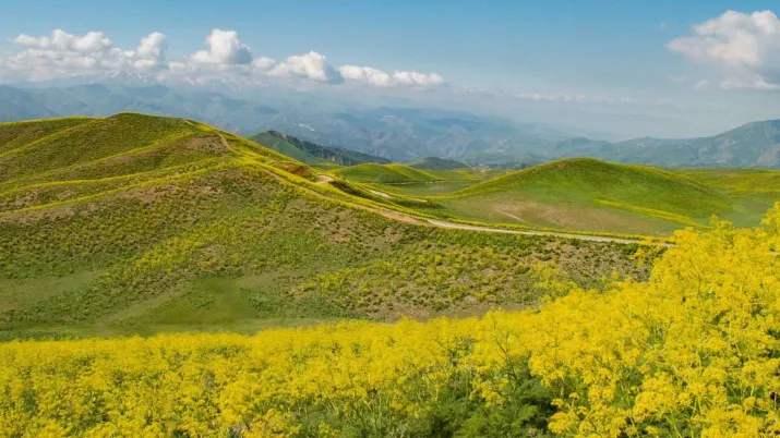 Mountain range in Uzbekistan