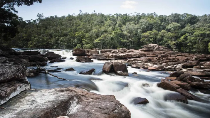 Colombie forêt fleuve climat biodiversité eau