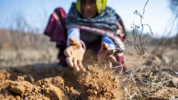 The purpose of this project is to improve the overall ecological balance in the State of Rajasthan, by supporting the protection of endemic and the restoration of endangered plant species.