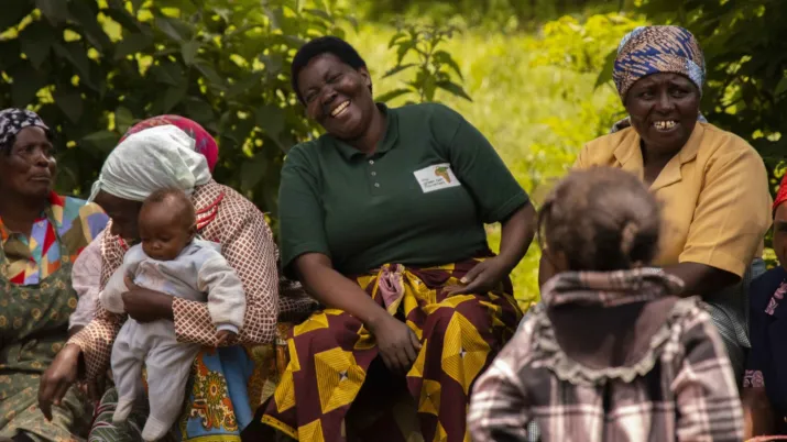 Forêt Kenya