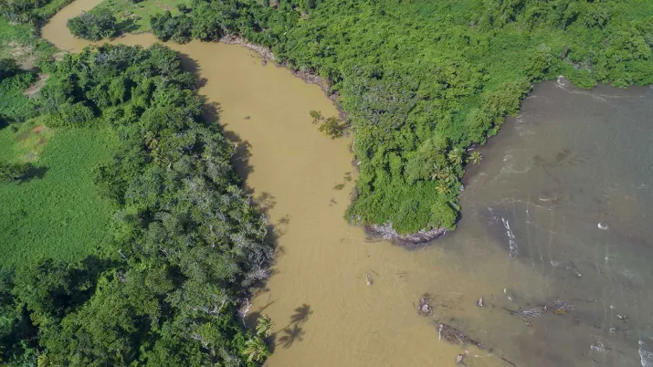 Ce projet vise la restauration de plusieurs sites de mangroves dans la Caraïbe 