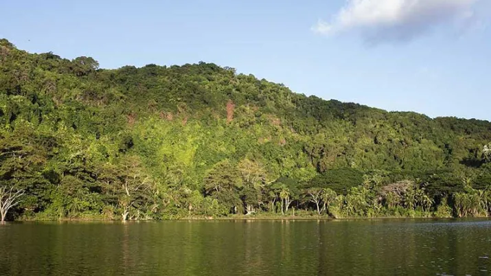 Ce prjet vise à concilier les enjeux de conservation de la biodiversité et la valorisation durable des activités socio-économiques dans les trois îles de l’Union des Comores.