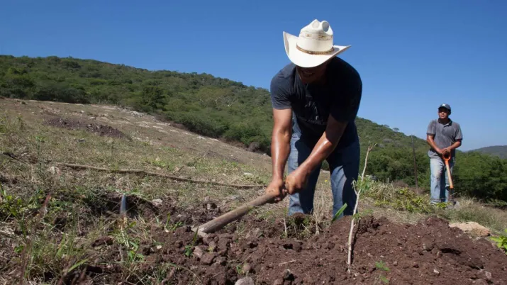 Un agriculteur travaille dans un champ.