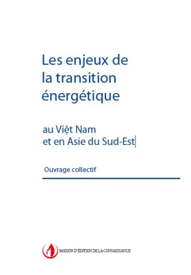 couverture de l'étude de l'afd sur les enjeux de la transition energetique
