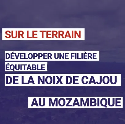 Développer une filière équitable de la noix de cajou au Mozambique