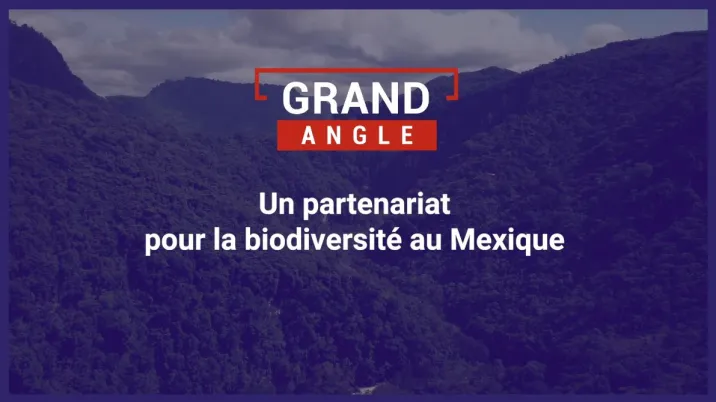 Un partenariat pour la biodiversité au Mexique 