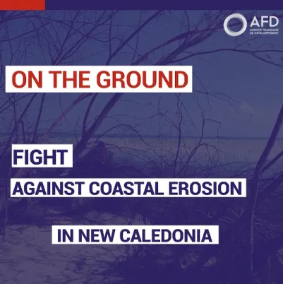 Fight against coastal erosion in New Caledonia