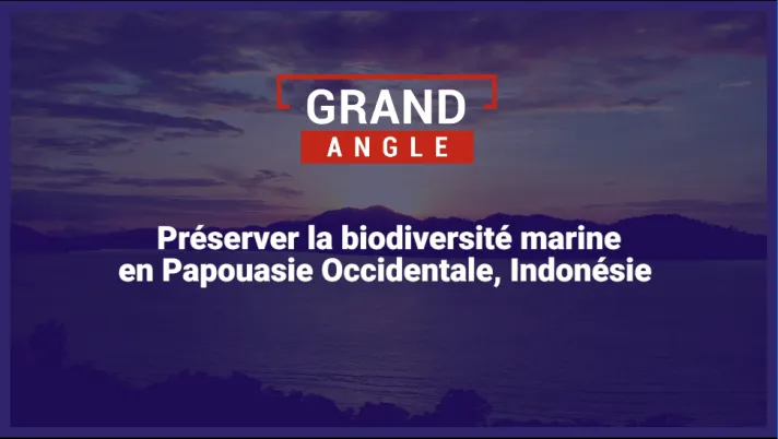Préserver la biodiversité marine en Papouasie Occidentale, Indonésie