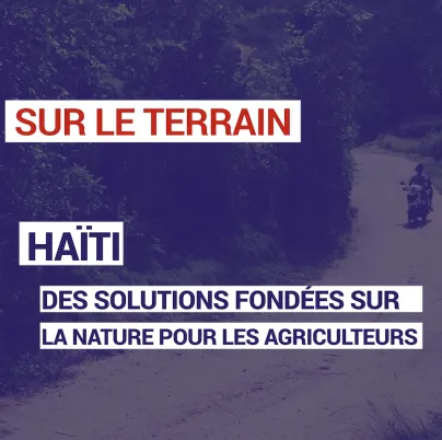 Haïti : des solutions fondées sur la nature pour les agriculteurs
