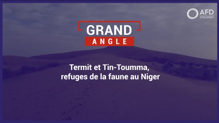 Termit et Tin-Toumma, refuges de la faune au Niger