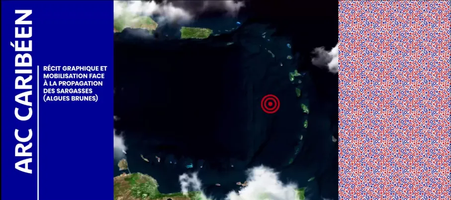 Arc Caribéen : Récits graphique et mobilisation face à la propagation des sargasses