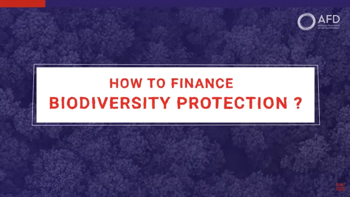How to finance biodiversity protection?