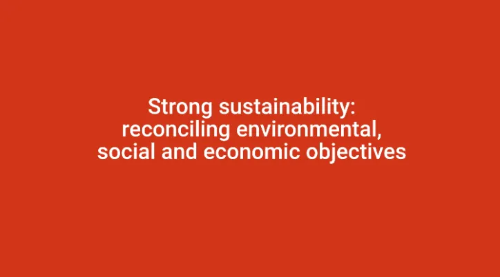 Strong sustainability