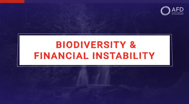 Biodiversity and financial instability with Julien Calas
