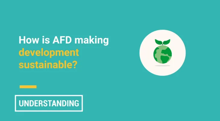 How is AFD making development sustainable?