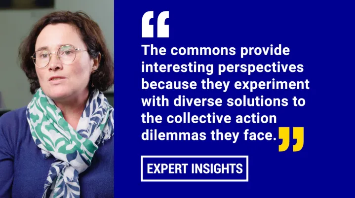 The Commons, vectors for development in East Africa