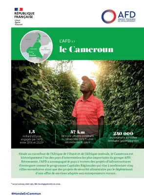 afd bilan cameroun