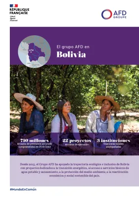 El grupo afd en Bolivia