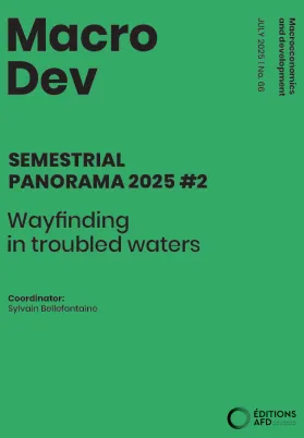 Wayfinding in troubled waters - SEMESTRIAL PANORAMA 2025 #2