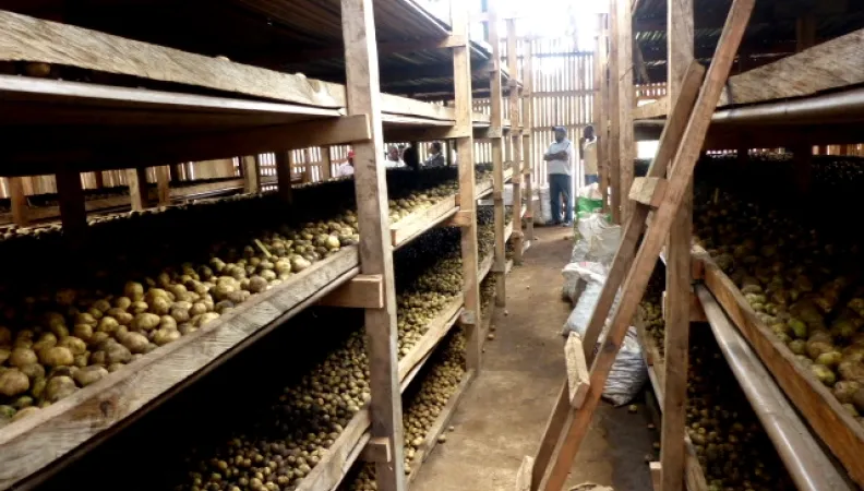 développement PME secteur agricole, projet Cameroun
