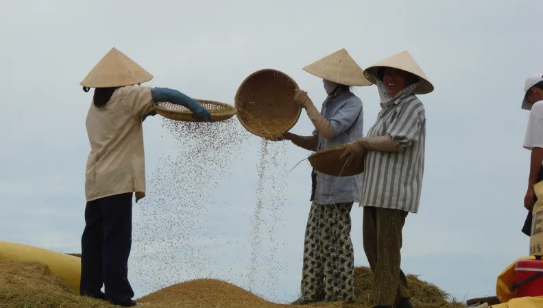Mobilisation des ressources en eau dans la province de Ninh Thuan - Image