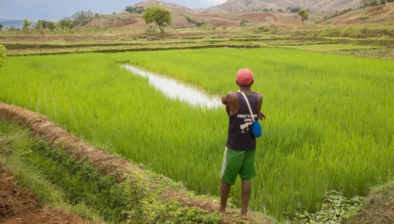 Améliorer la sécurité foncière des producteurs et agriculteurs de Madagascar