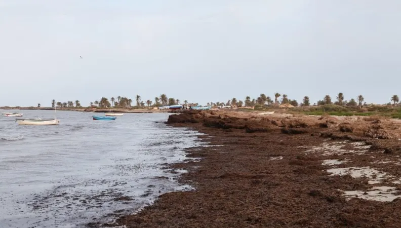 Dépolluer la mer Méditerranée, côte, Tunisie