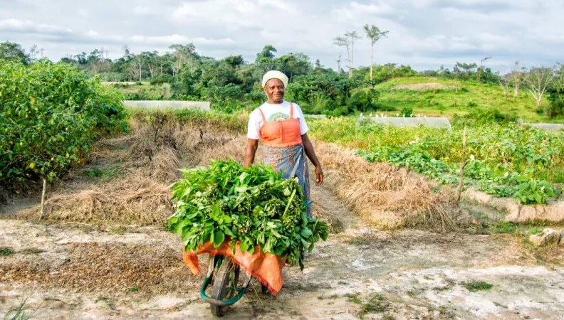 Agriculture and rural development, woman, Gabon