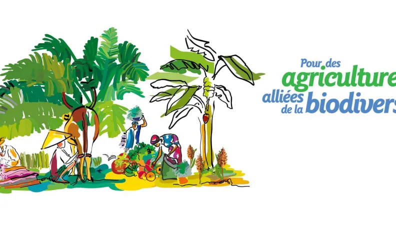 Peut-on concilier sécurité alimentaire et biodiversité ?