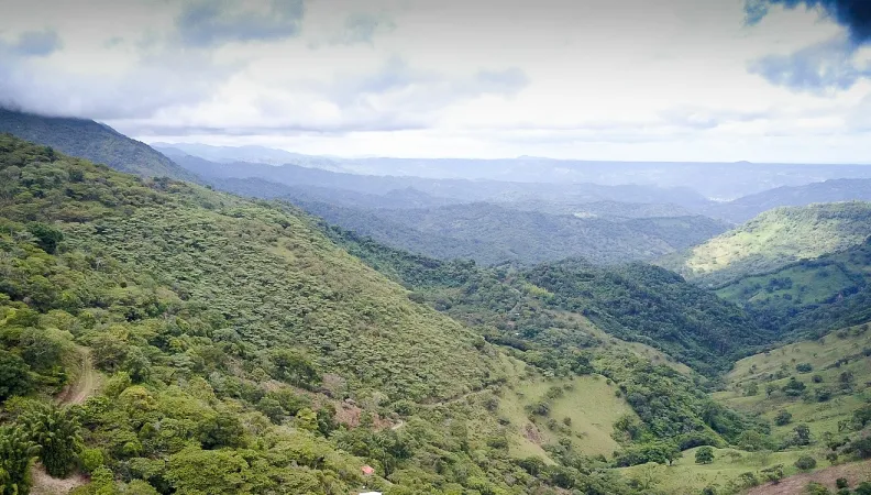 Mexique afd biodiversité climat forêt