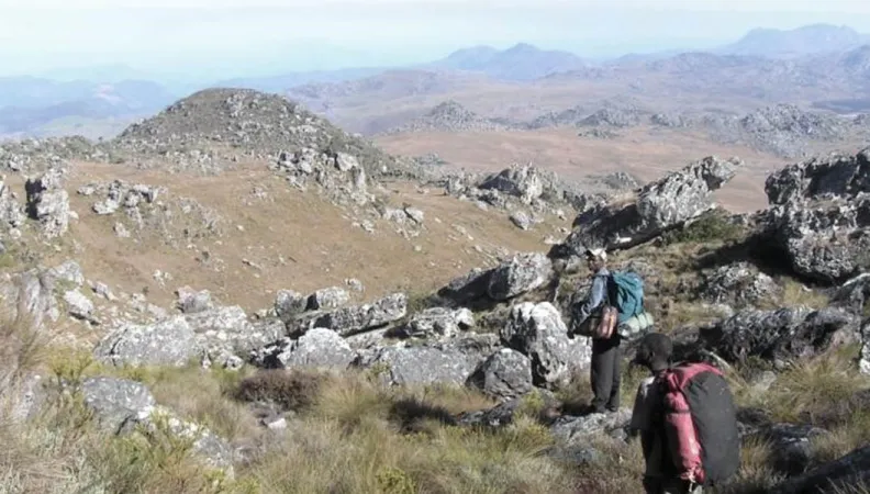 Paysages de la Réserve Nationale de Chimanimani