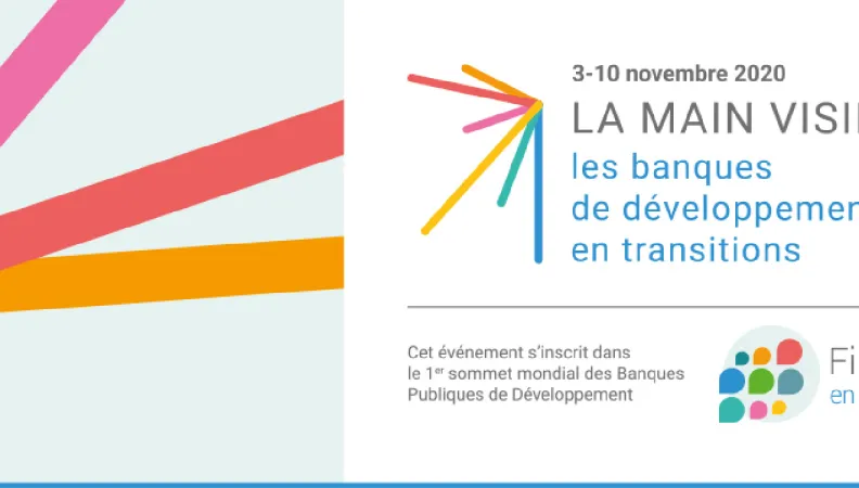 La main visible : les banques de développement en transitions
