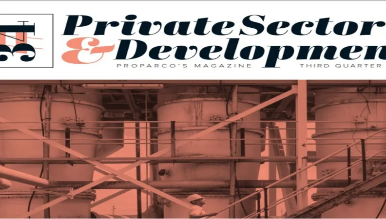 Private Sector and Development