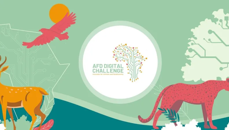 AFD Digital Challenge promotes and accelerates the development of African start-ups