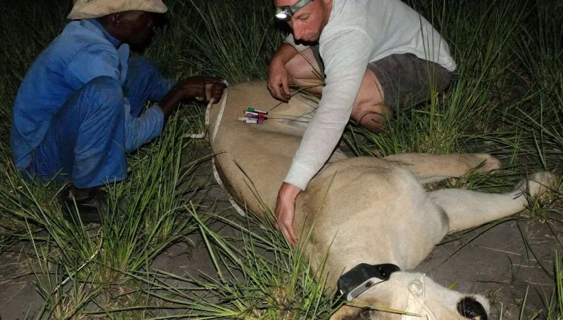 The focus of the project is to benefit both the wildlife and ecosystems in the Transfrontier Conservation Area 