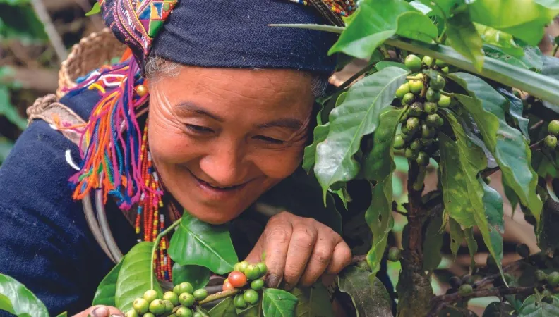 Au Laos, 65 % de la population vit en milieu rural et dépend de l’agriculture