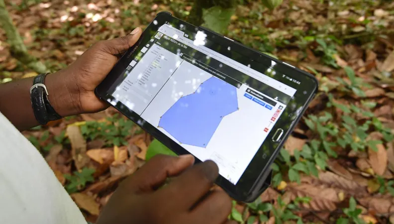 Le programme de lutte contre la déforestation Redd+ en Côte d'Ivoire