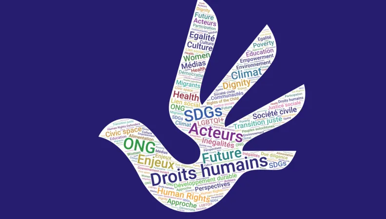 Conférence Droits humains et développement