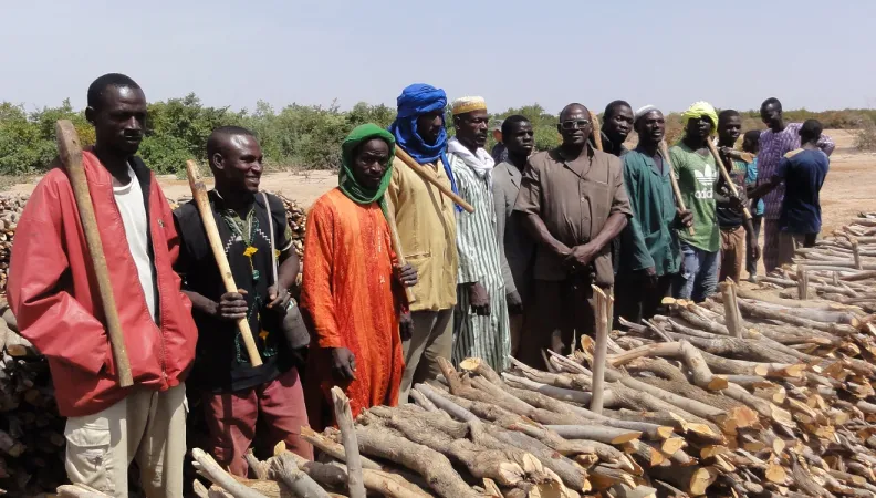 bucherons marché rural bois énergie Sahel